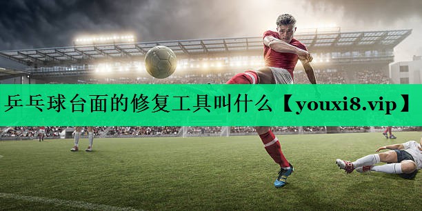 乒乓球臺面的修復工具叫什么
